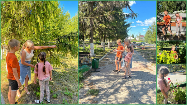 В гостях у парка